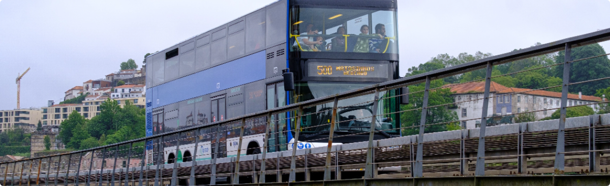 Social bodies Social bodies