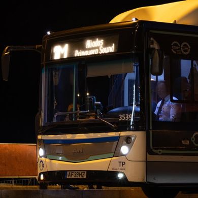 bus line 1M