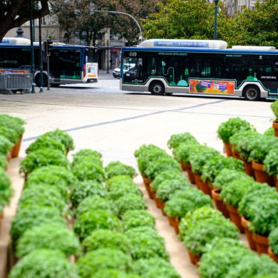 STCP bus