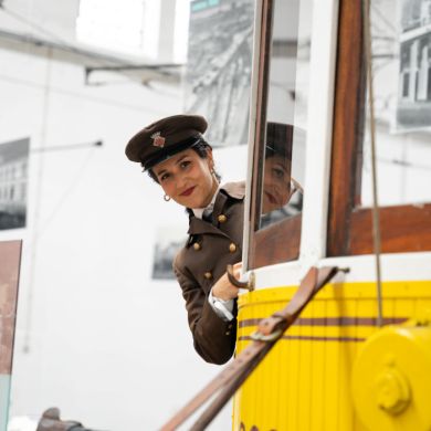 Electric brake guard